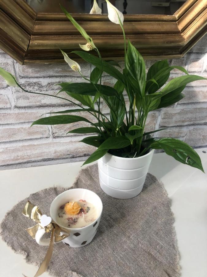 Casa Nonna Elide Daire Besozzo Dış mekan fotoğraf